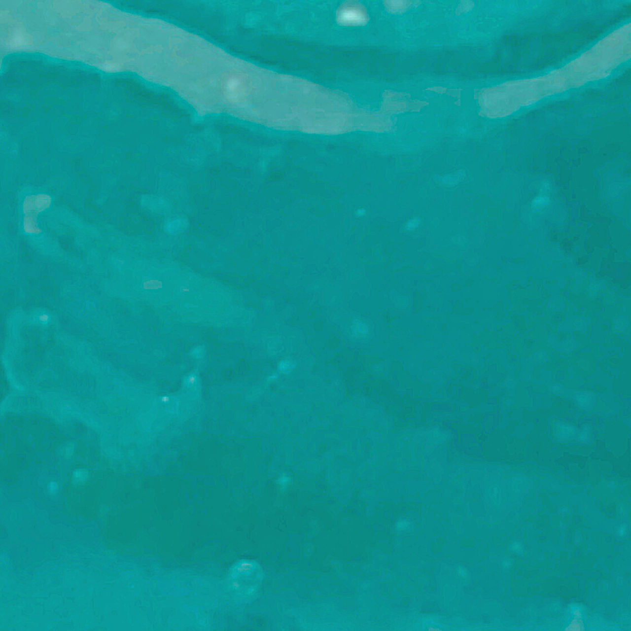 OCEAN JELLY Mask -it's back in stock!-4