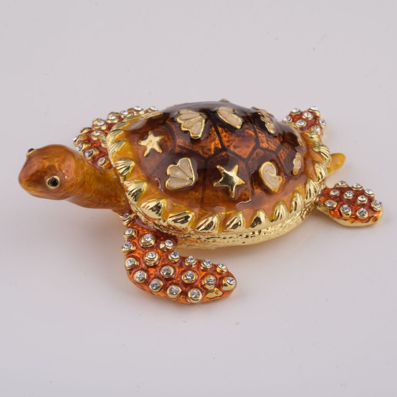 Brown Sea Turtle