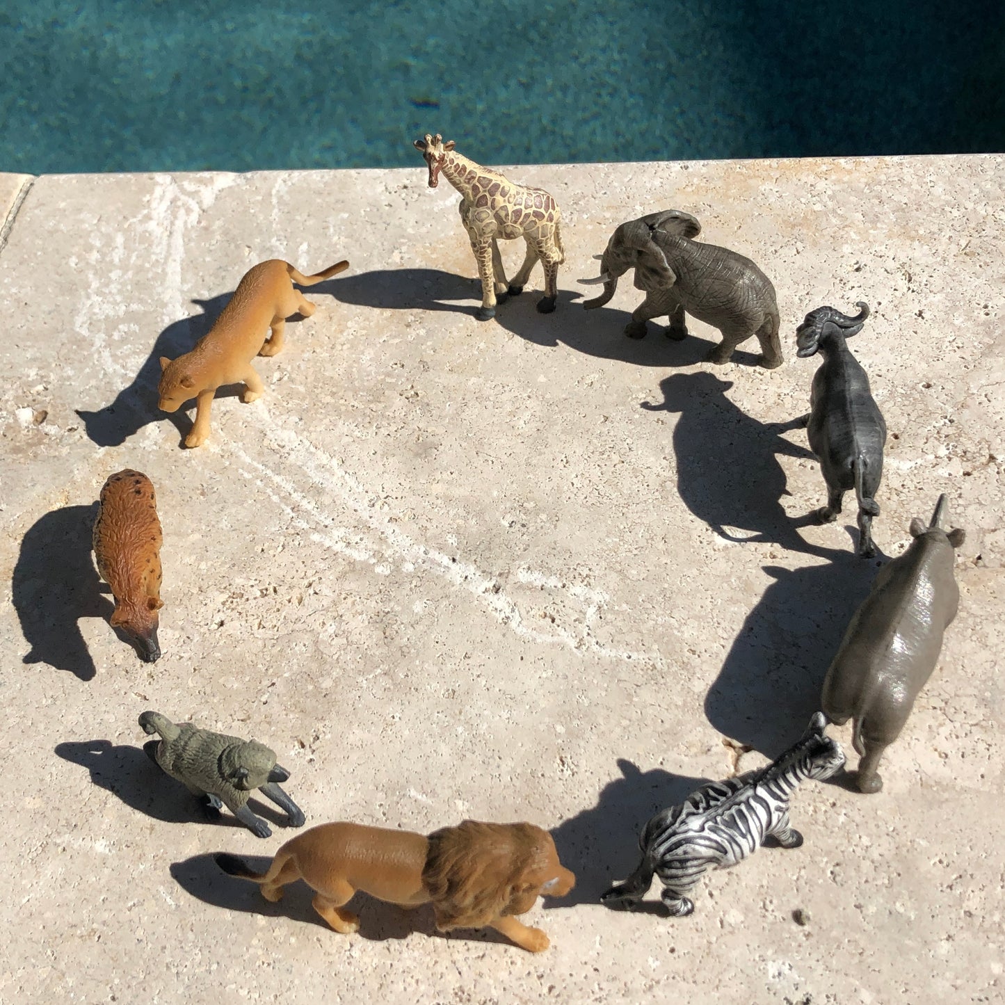 South African Animals TOOB®-4