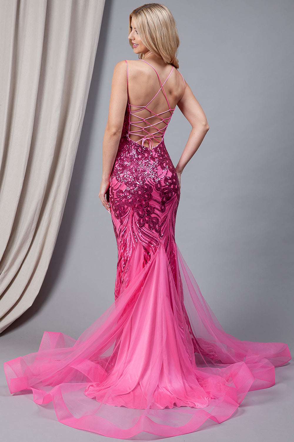 Embroidered Sequins Tulle Skirt Illusion V-Neck Long Prom Dress AC7021-2
