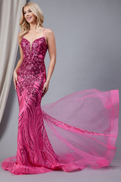Embroidered Sequins Tulle Skirt Illusion V-Neck Long Prom Dress AC7021-1