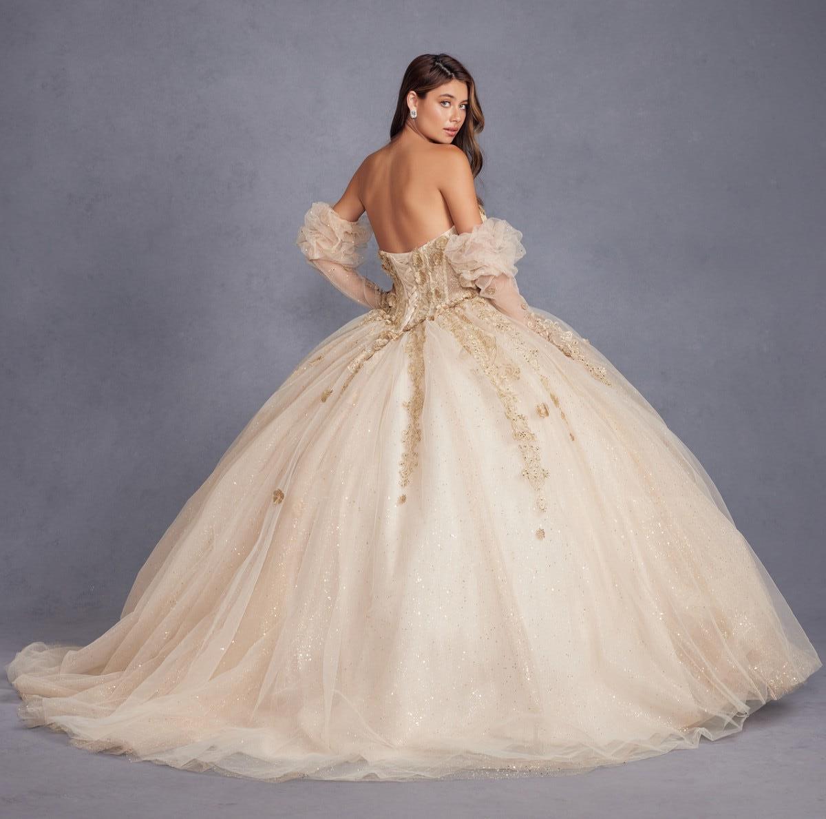 3D Floral Applique Puff Sleeves Long Quinceanera Dress JTJT1465H