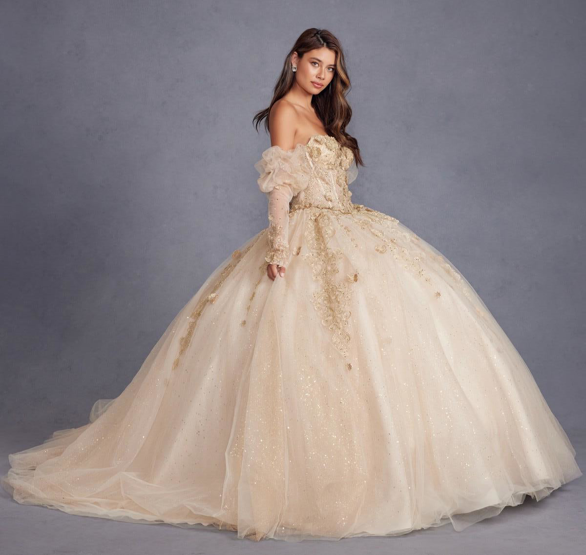 3D Floral Applique Puff Sleeves Long Quinceanera Dress JTJT1465H