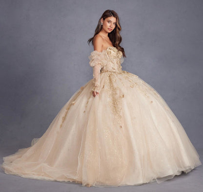 3D Floral Applique Puff Sleeves Long Quinceanera Dress JTJT1465H