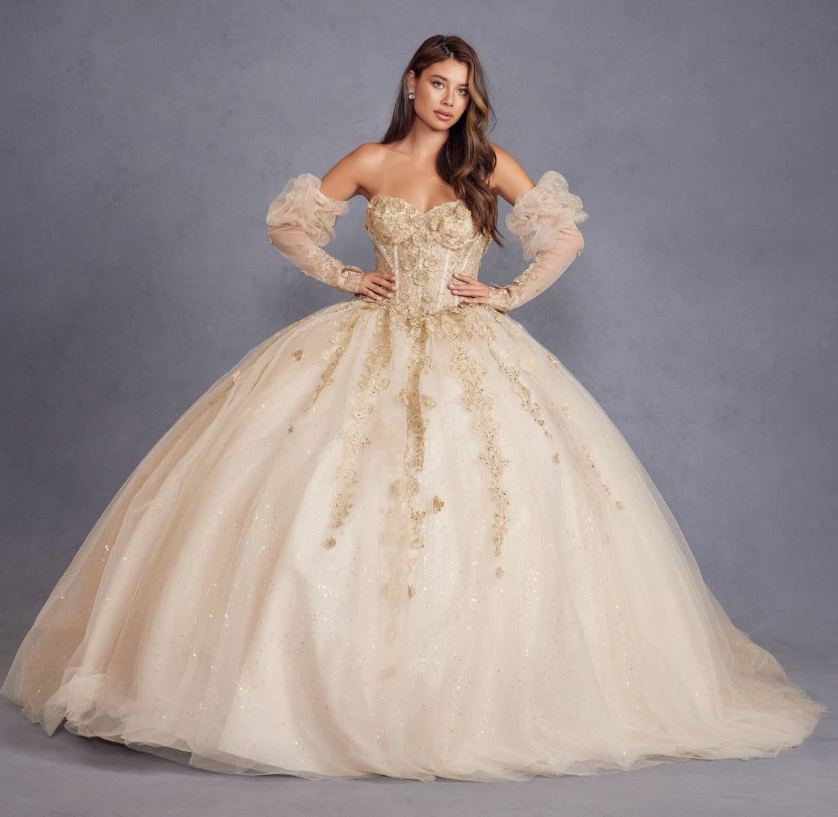 3D Floral Applique Puff Sleeves Long Quinceanera Dress JTJT1465H