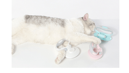 Furcare Pro: The Ultimate Self-Cleaning Wire Brush For A Flawless Grooming Experience!