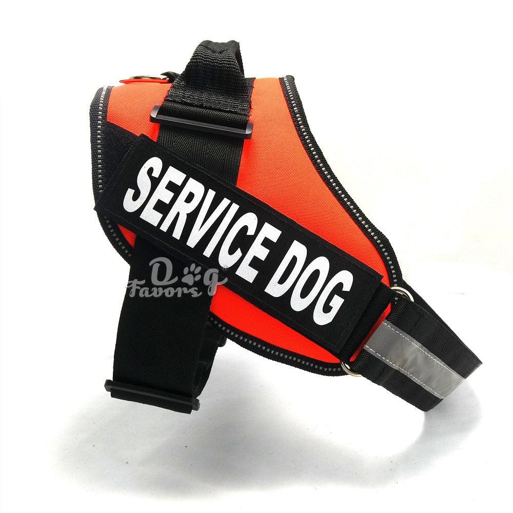 Scientific Comfort Dog Chest Strap: The Ultimate Solution For Health And Comfort
