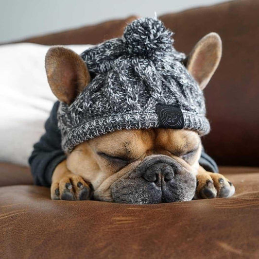 Fluffy Polar Pom Knitted Dog Hat - Winter Fashion Statement