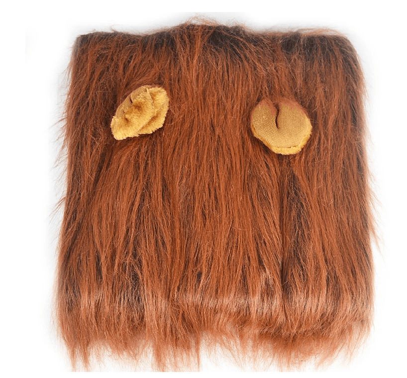 Regal King's Mane For Majestic Mutts