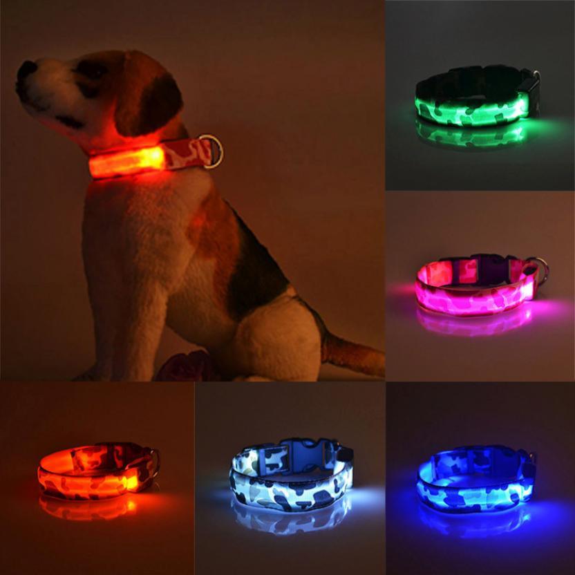 Luminous Glow-In-The-Dark Pet Collar