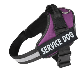 Scientific Comfort Dog Chest Strap: The Ultimate Solution For Health And Comfort