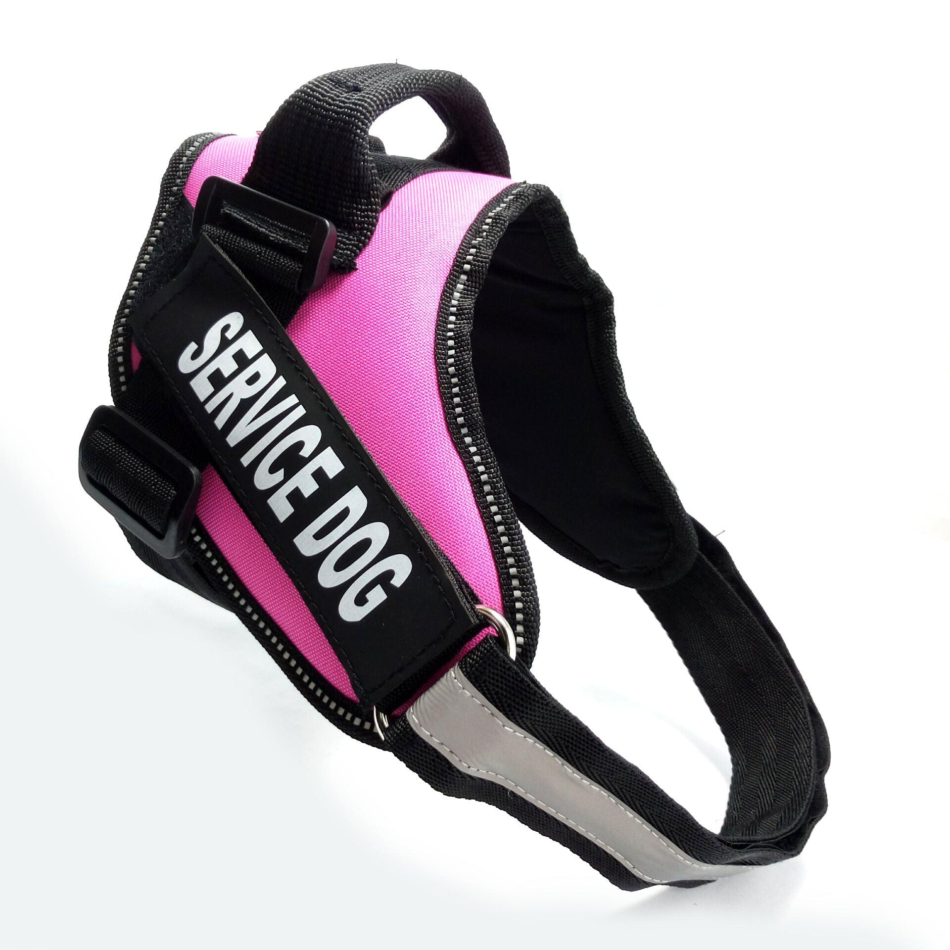 Scientific Comfort Dog Chest Strap: The Ultimate Solution For Health And Comfort