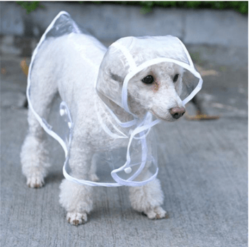 Transparent Waterproof Dog Raincoat - Stylish Protection For Your Pup-1