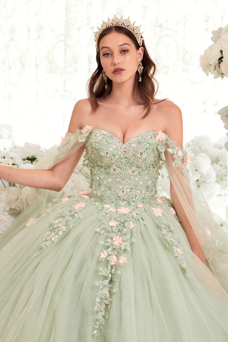 SAGE BALL GOWN WITH BLUSH FLORAL DETAILS CD15716-2