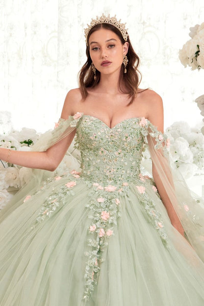 SAGE BALL GOWN WITH BLUSH FLORAL DETAILS CD15716-2