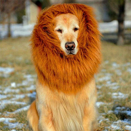 Regal King's Mane For Majestic Mutts-0
