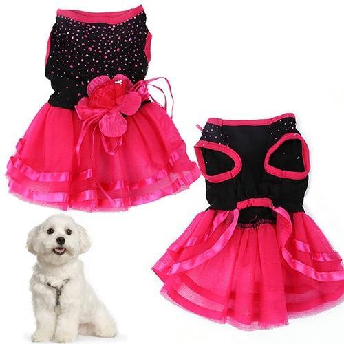 Royal Pet Wedding Gown: A Majestic Dress For Your Beloved Furry Friend