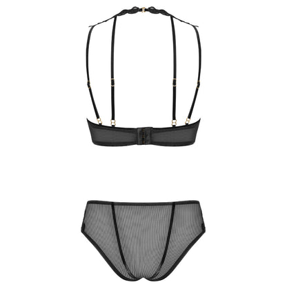 Sexy Sheer Demi Bra & Mesh Bikini Panty Set Majesty-3