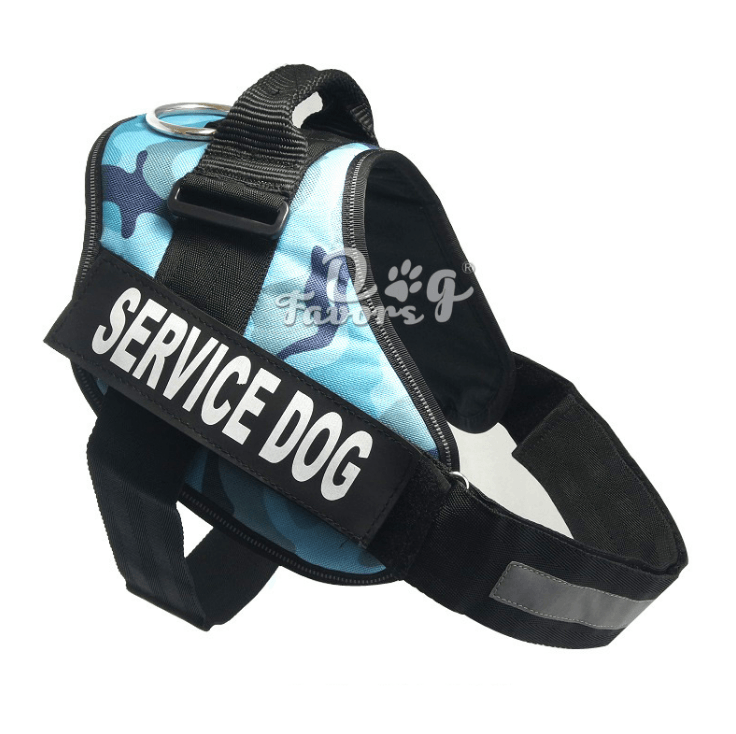 Scientific Comfort Dog Chest Strap: The Ultimate Solution For Health And Comfort