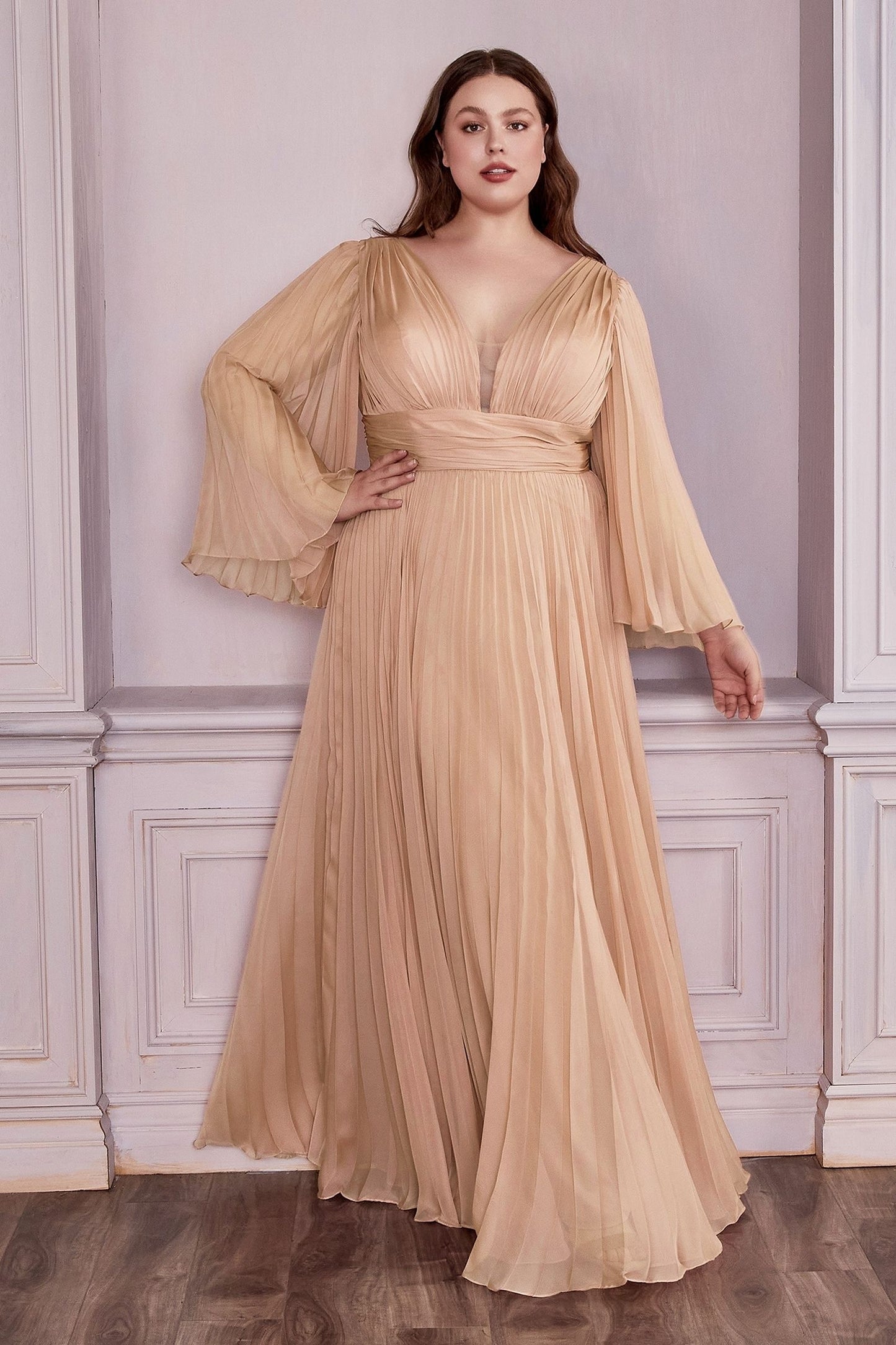 Chiffon Gown, Long Sleeve CDCD242C-4
