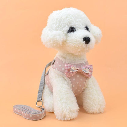 Pet Adventure Harness
