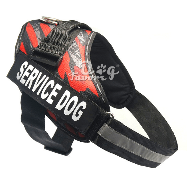 Scientific Comfort Dog Chest Strap: The Ultimate Solution For Health And Comfort