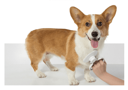 Furcare Pro: The Ultimate Self-Cleaning Wire Brush For A Flawless Grooming Experience!