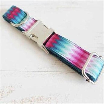 Vibrant Ribbon Traction Set For Patterned Dog Collars