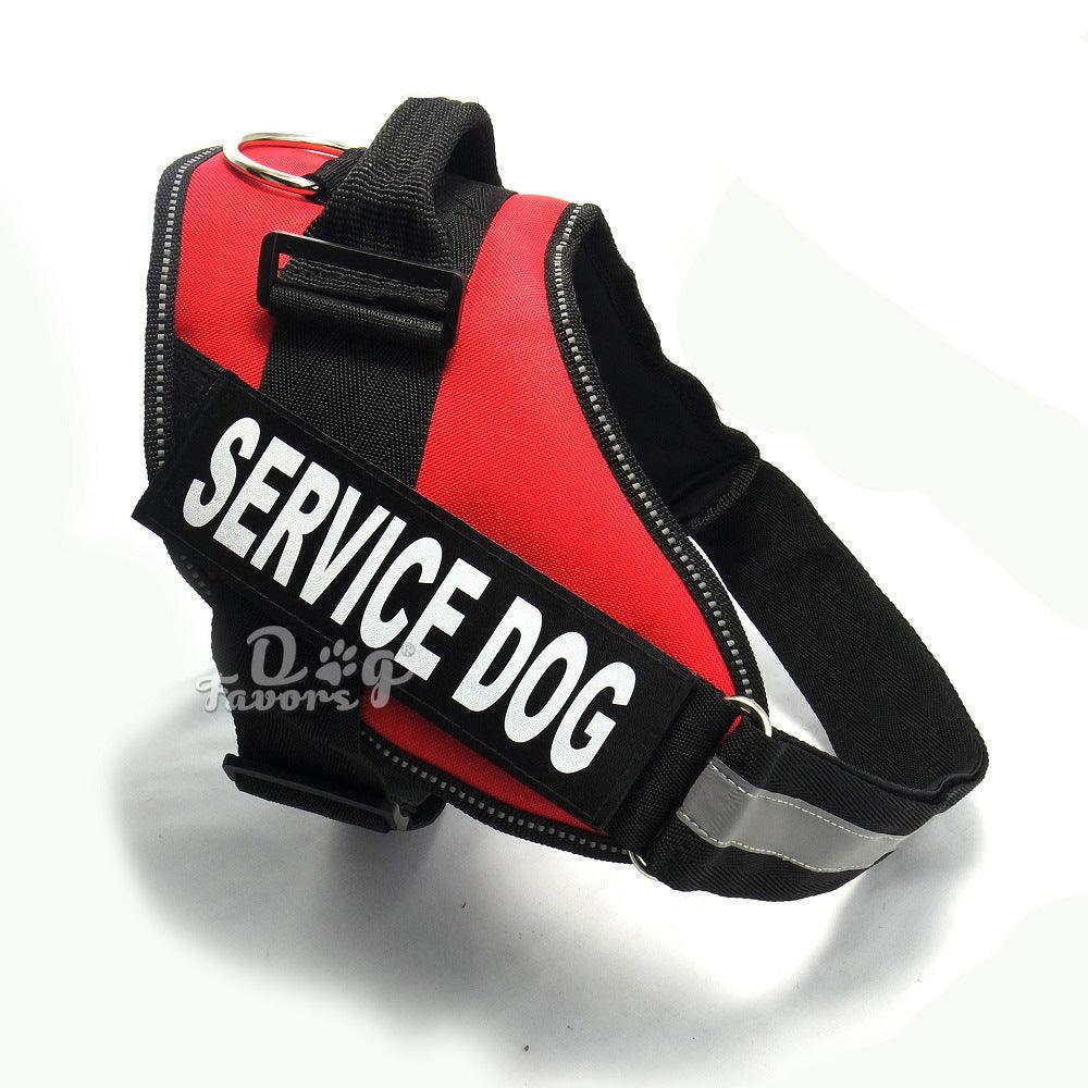 Scientific Comfort Dog Chest Strap: The Ultimate Solution For Health And Comfort