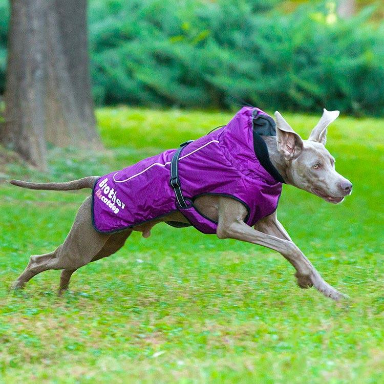 Fashionable Waterproof And Reflective Nylon Pet Raincoat