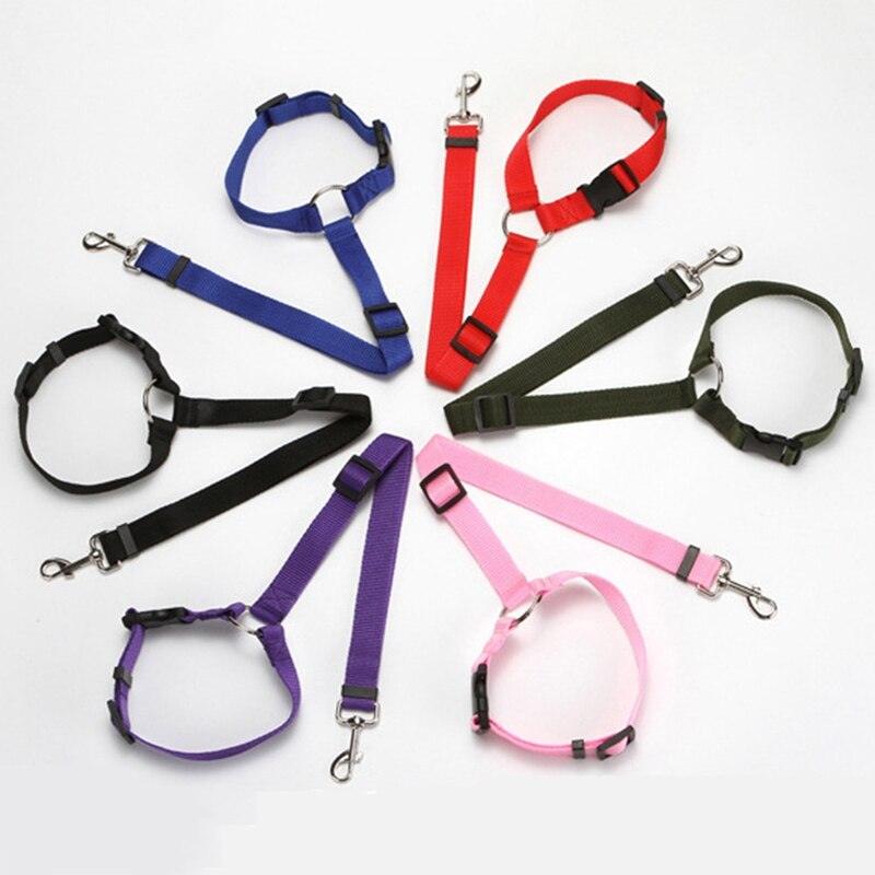 Petsafe Car Safety Leash: Secure And Adjustable Pet Restraint For Rear Seats