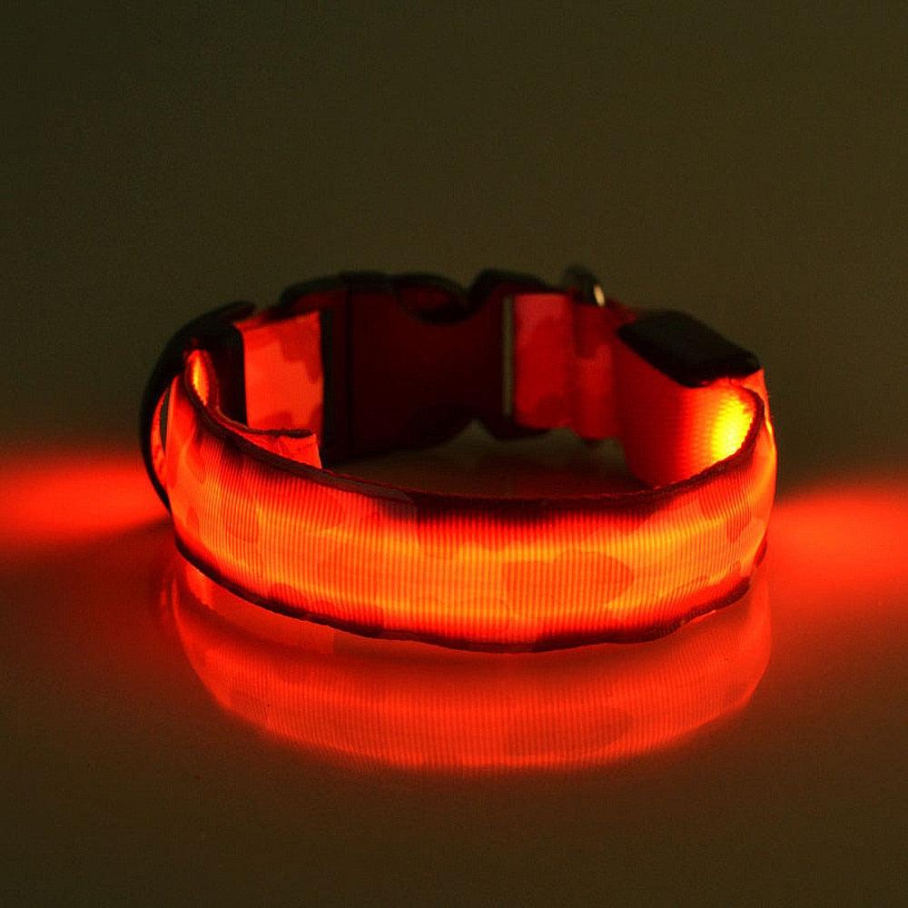 Luminous Glow-In-The-Dark Pet Collar