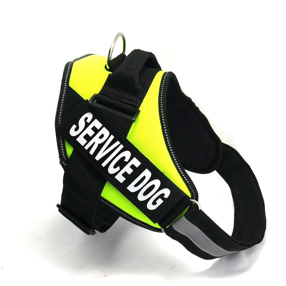 Scientific Comfort Dog Chest Strap: The Ultimate Solution For Health And Comfort