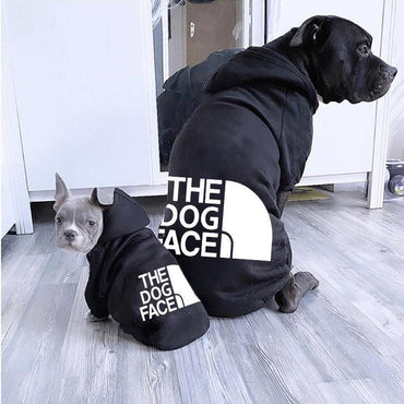 Pet Couture: Stylish Clothing For Large And Small Dogs-1