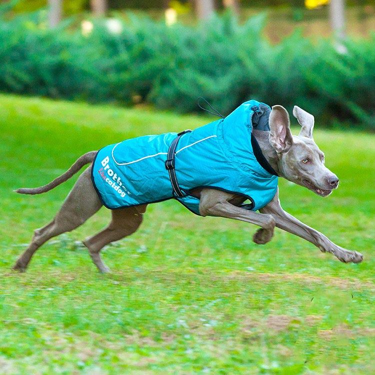 Fashionable Waterproof And Reflective Nylon Pet Raincoat