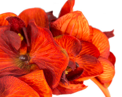 Bespoke burnt orange orchid flower headband by Fillies Collection