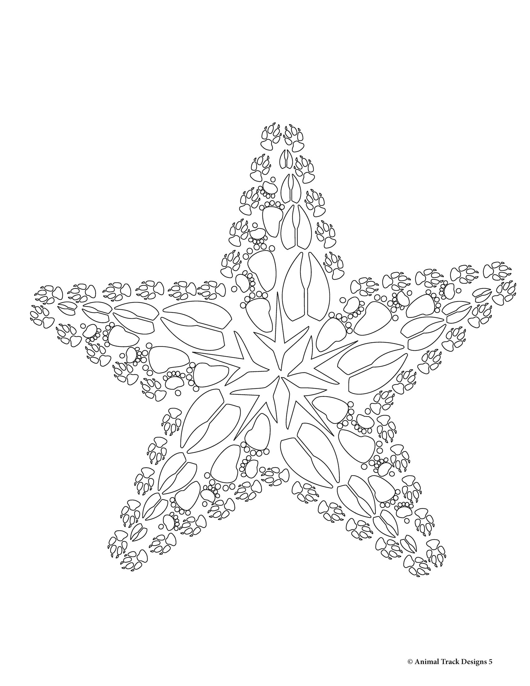 Christmas Coloring Book - Animal Track Designs
