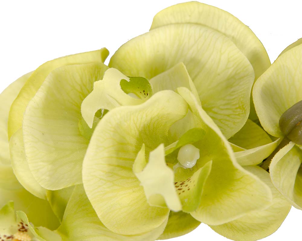 Bespoke lime orchid flower headband by Fillies Collection