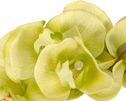 Bespoke lime orchid flower headband by Fillies Collection