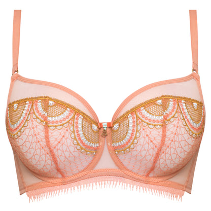 Sheer Mesh Embroidered Full Coverage Bra Lea-2