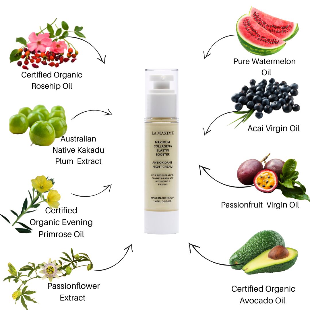 Maximum Collagen & Elastin Booster Antioxidant Night Cream