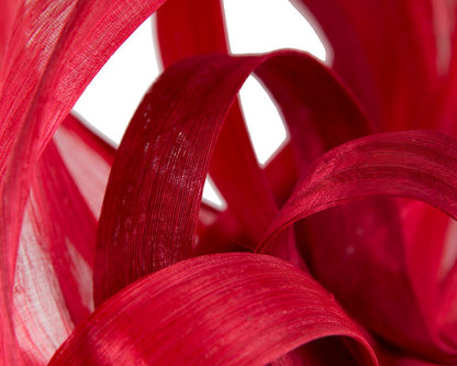 Large Red fascinator by Fillies Collection-4