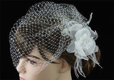 Bridal Wedding Off White Birdcage Netting Veil with Feathers Fascinator Flower XT1566