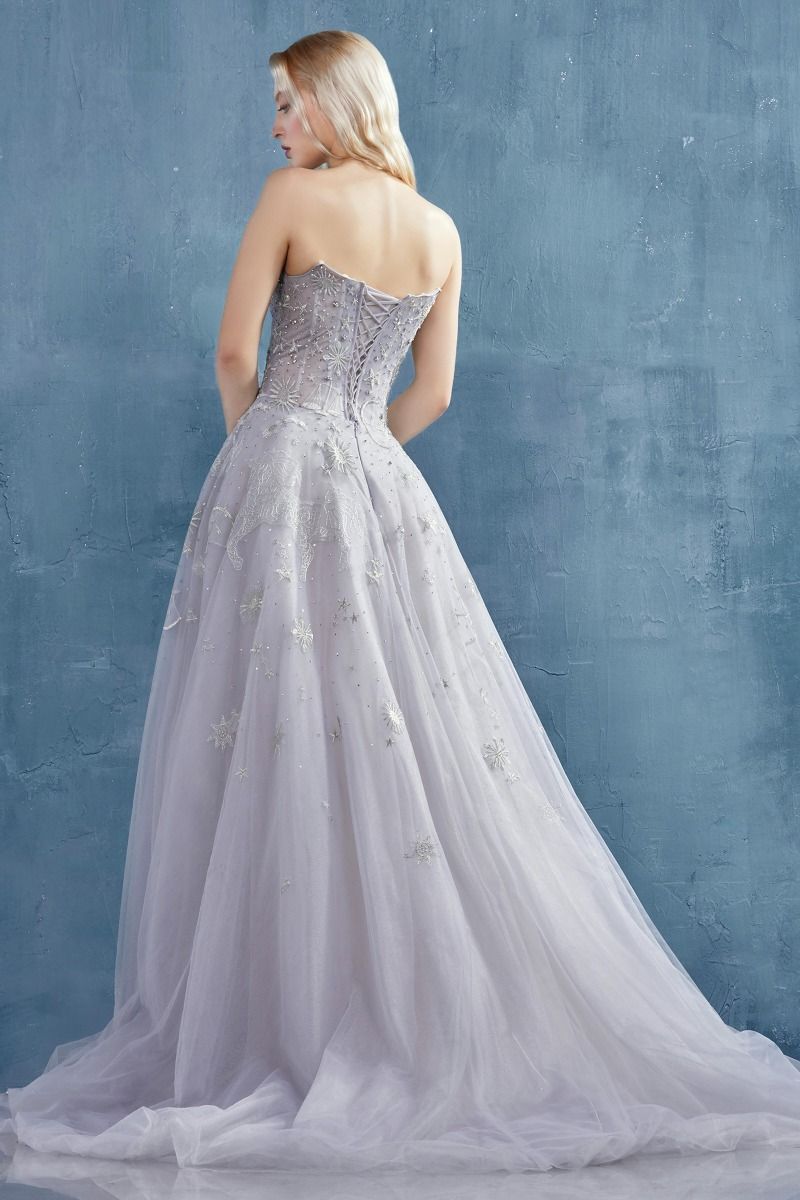 Constellation Selene Tulle Straight Across Mid Open Back A-line Long Prom & Ball Dress CDA0890-4