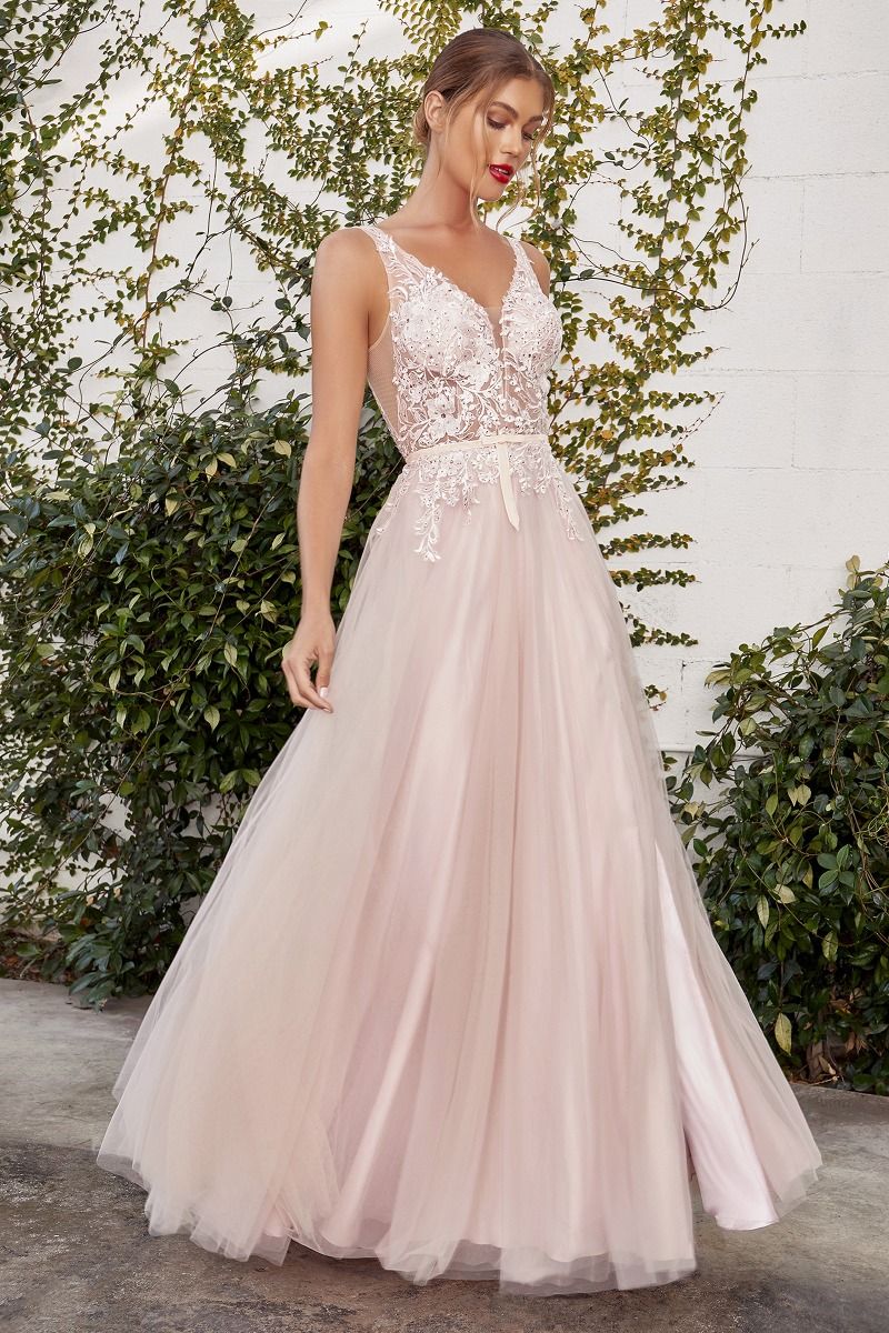 Sade Lace Tulle Vintage Floral V-neck Bodice Pointy Open Back Long Prom Dress CDA1045