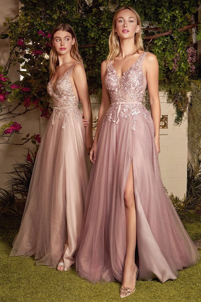 Sade Lace Tulle Vintage Floral V-neck Bodice Pointy Open Back Long Prom Dress CDA1045
