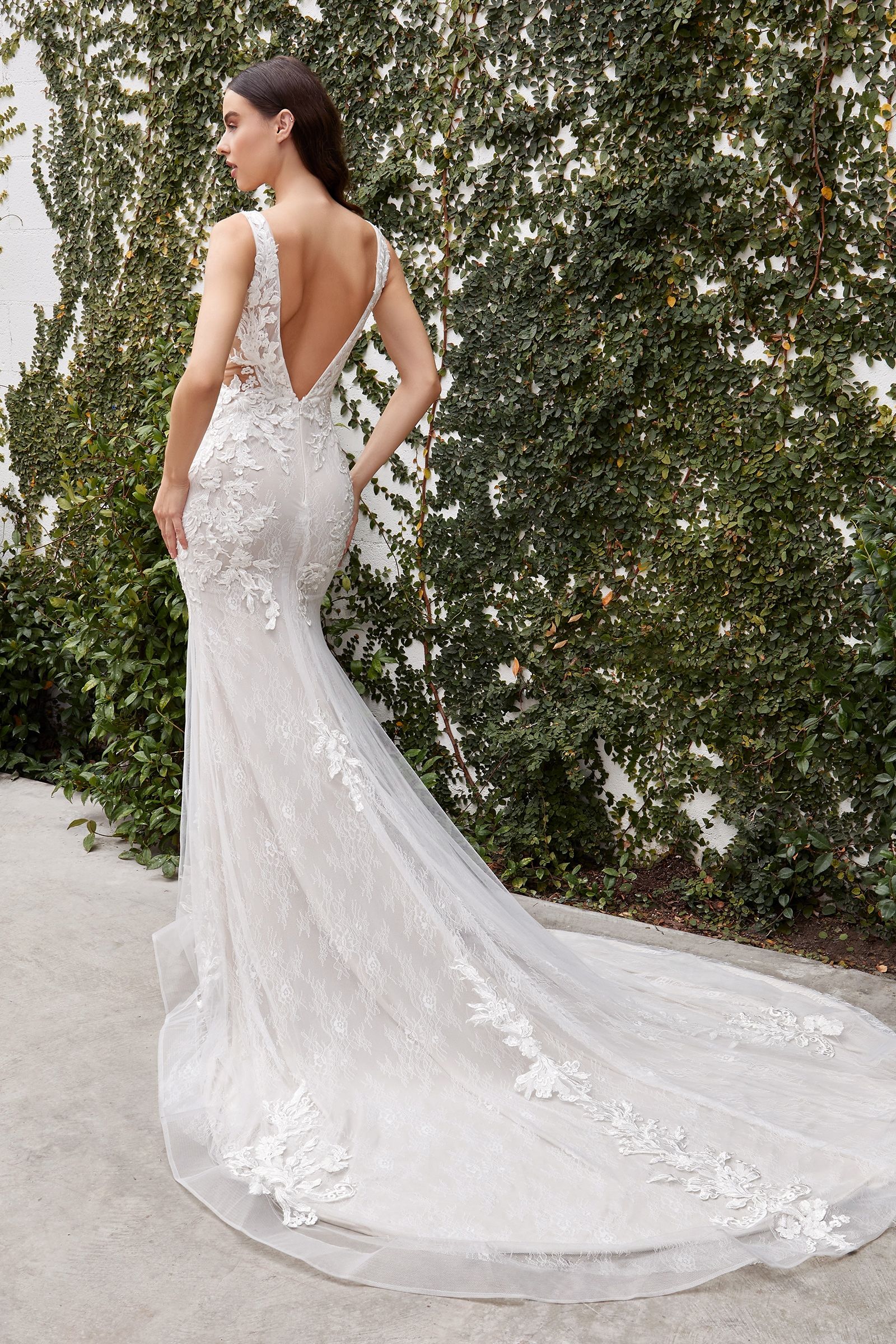 Avery Lace Bodice Illusion V-Neck Long Wedding Dress CDA1072W-1