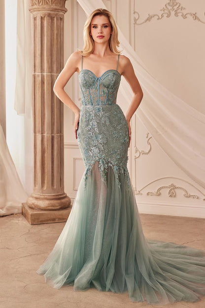 FIT & FLARE EMBELLSIHED GOWN CDA1232-1