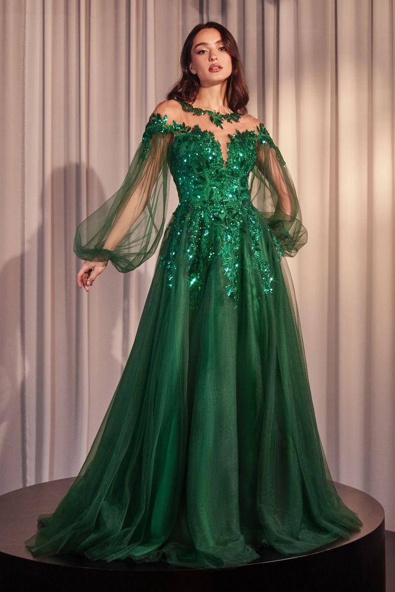 LONG SLEEVE A-LINE TULLE & LACE GOWN CDA1263-1