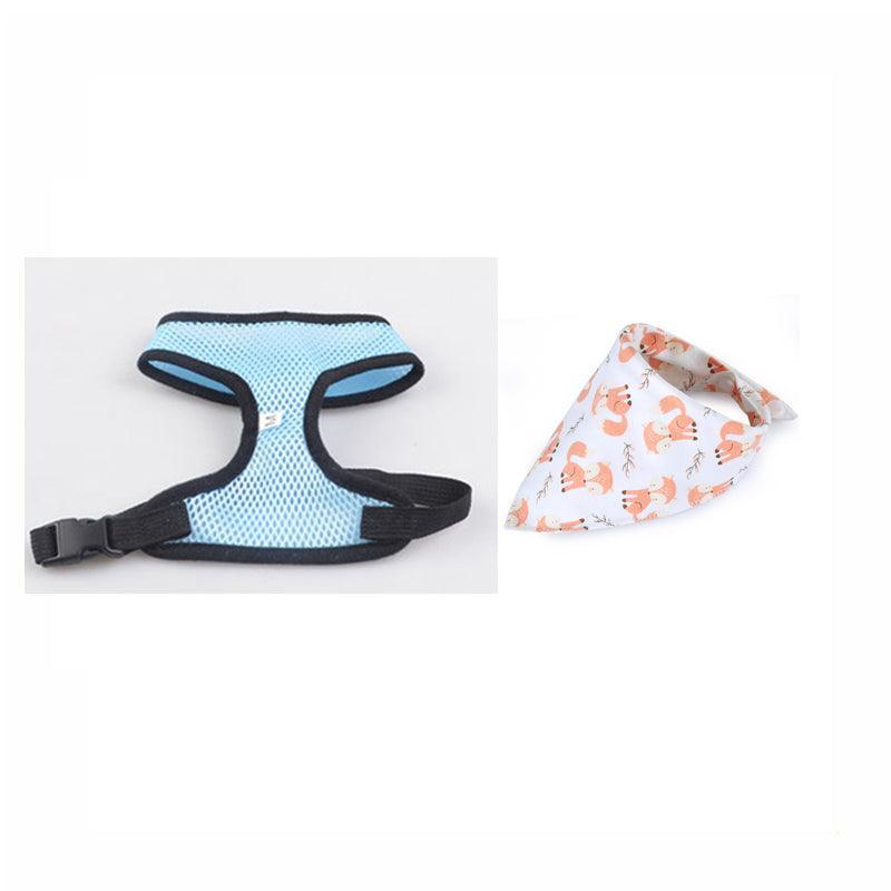 Adventure Duo: Harness And Bandana Set